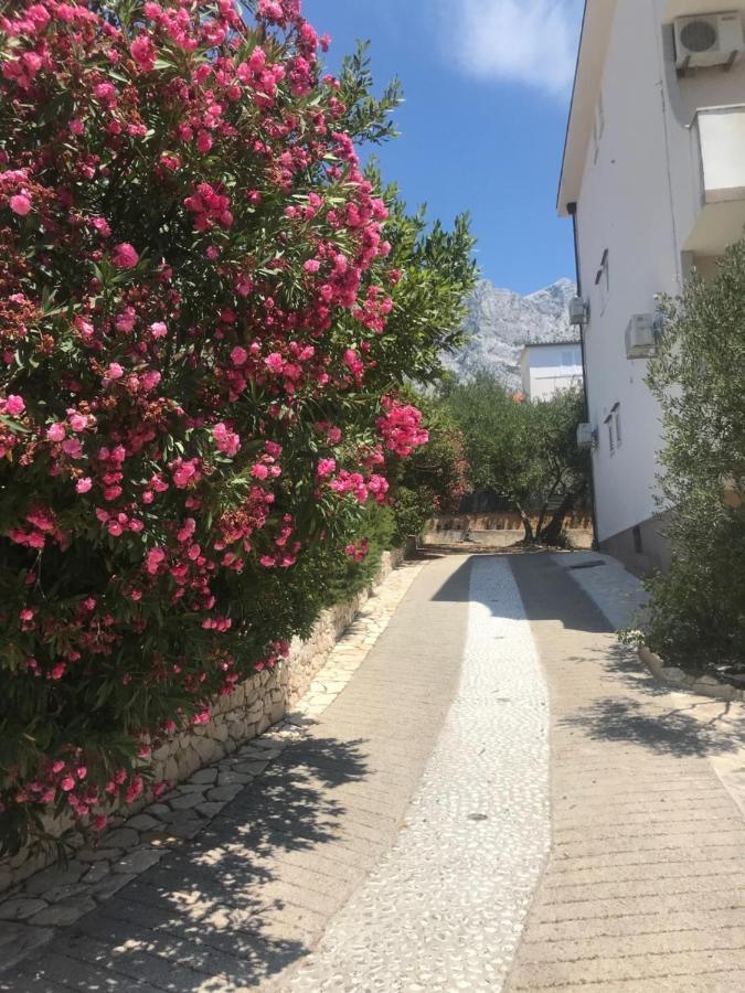 מאקרסקה Apartments Miranda Sea & Nature מראה חיצוני תמונה